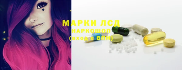 гидра Магас