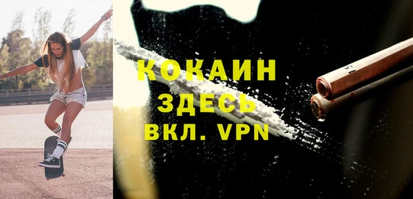 гидра Магас