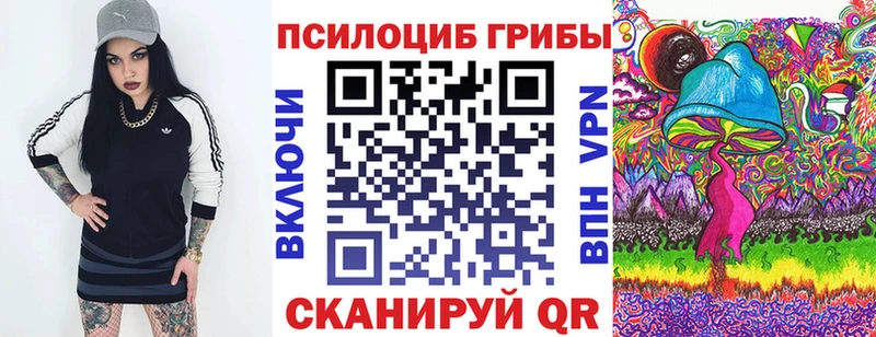 OMG как зайти  Пятигорск  Псилоцибиновые грибы прущие грибы  купить наркотики цена 