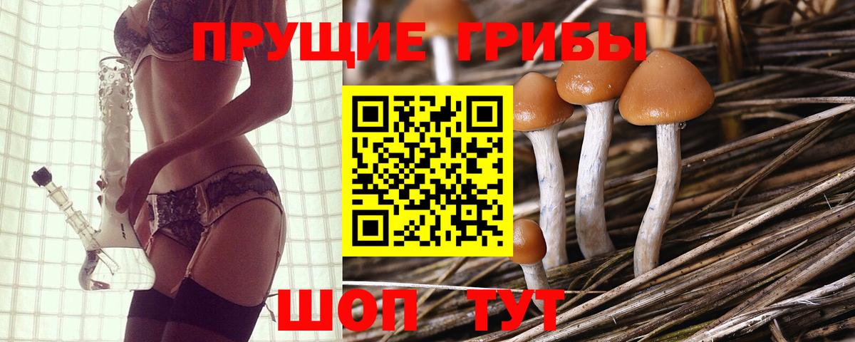 Галлюциногенные грибы мухоморы Пятигорск